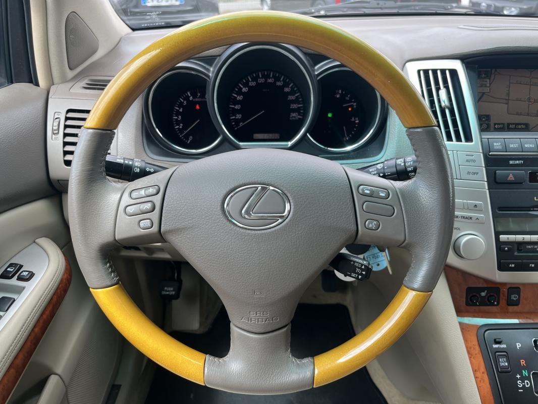 Lexus RX - Photo 17
