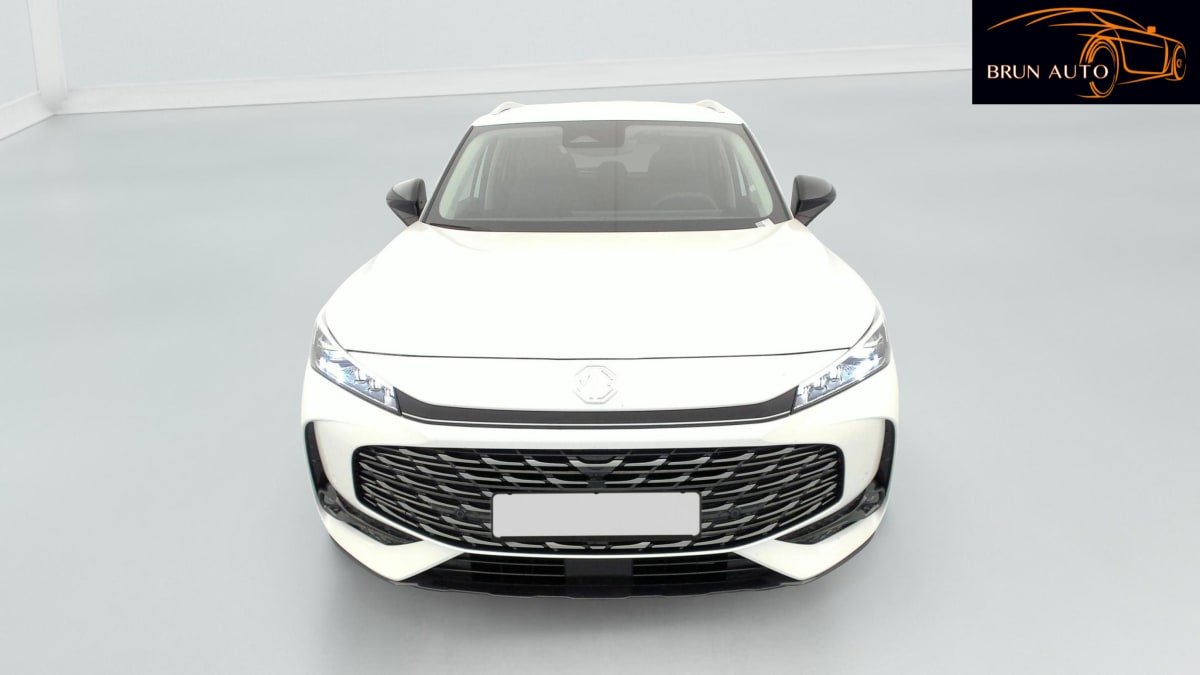 MG EHS - Photo 2