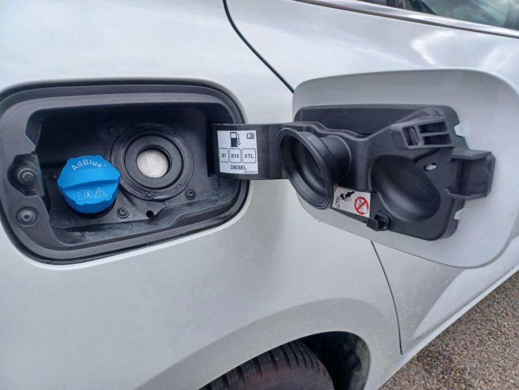 Renault Mégane - Photo 18