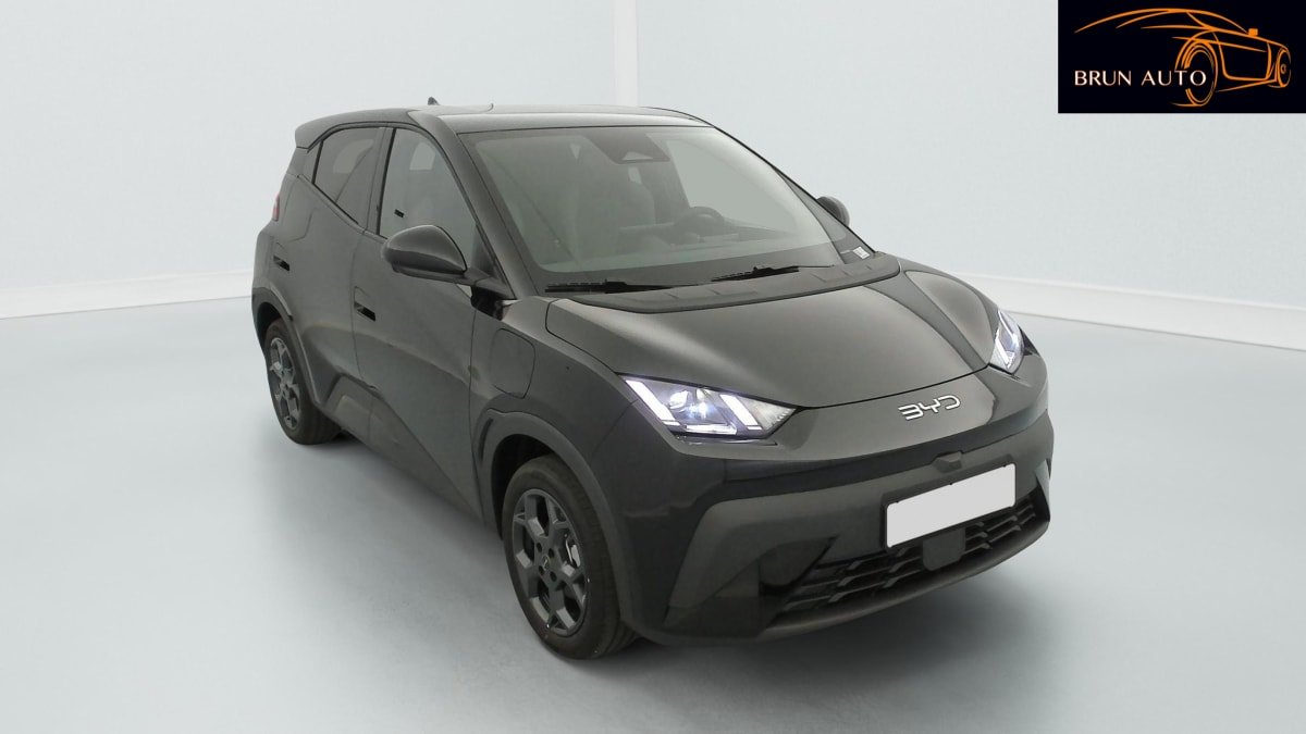BYD Dolphin