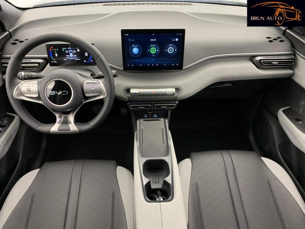 BYD Dolphin - Photo 12