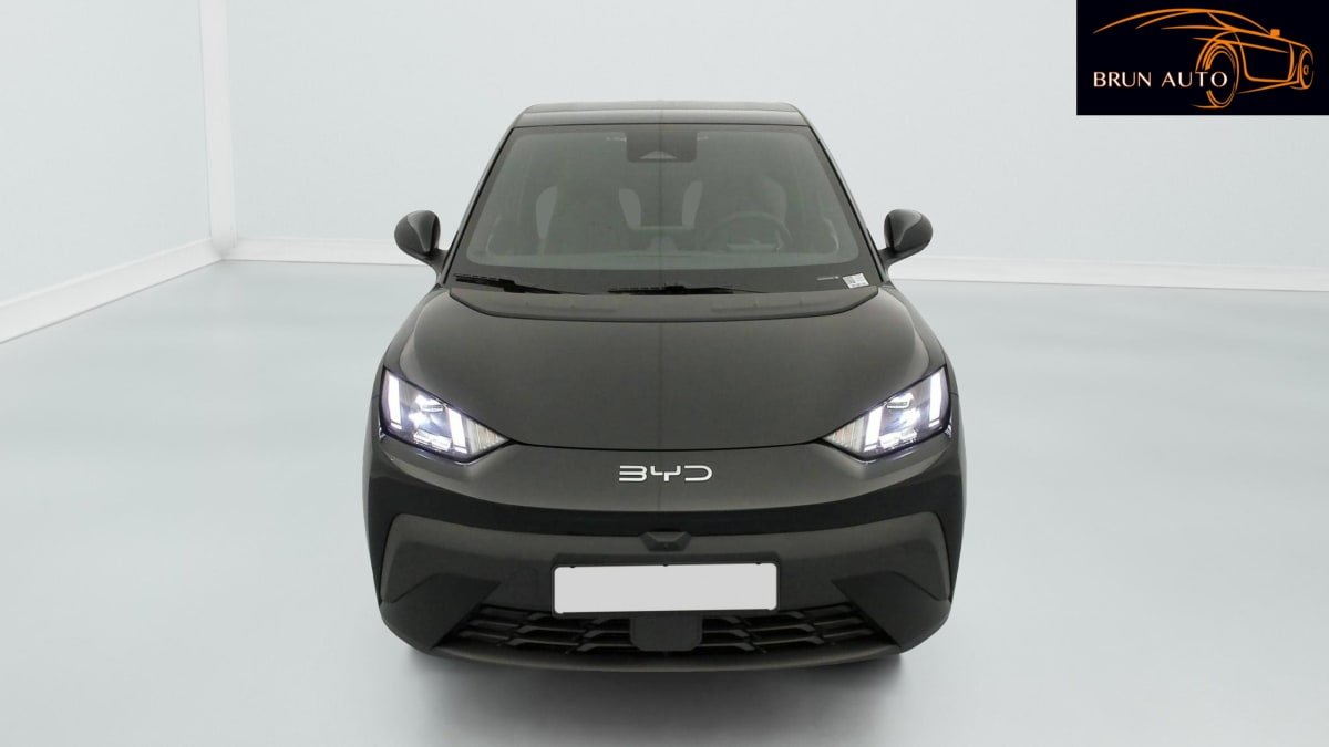 BYD Dolphin - Photo 2