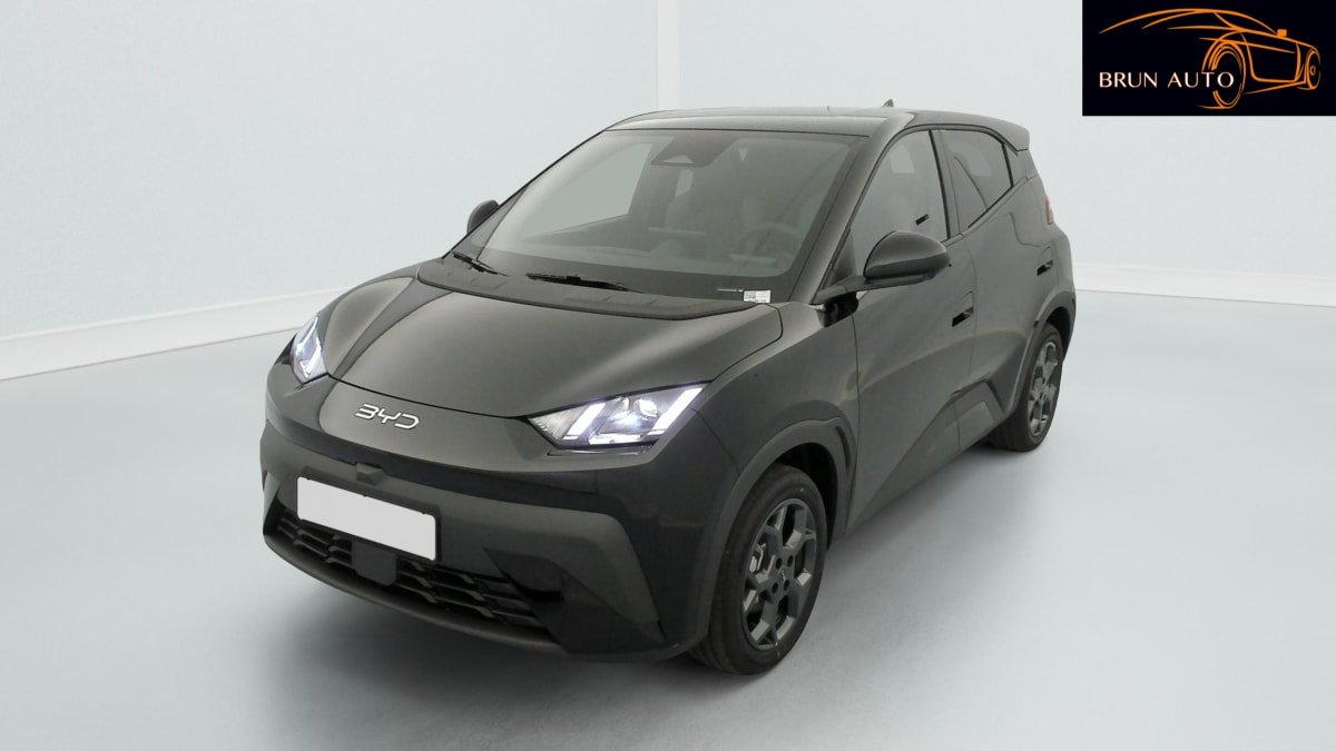 BYD Dolphin - Photo 3