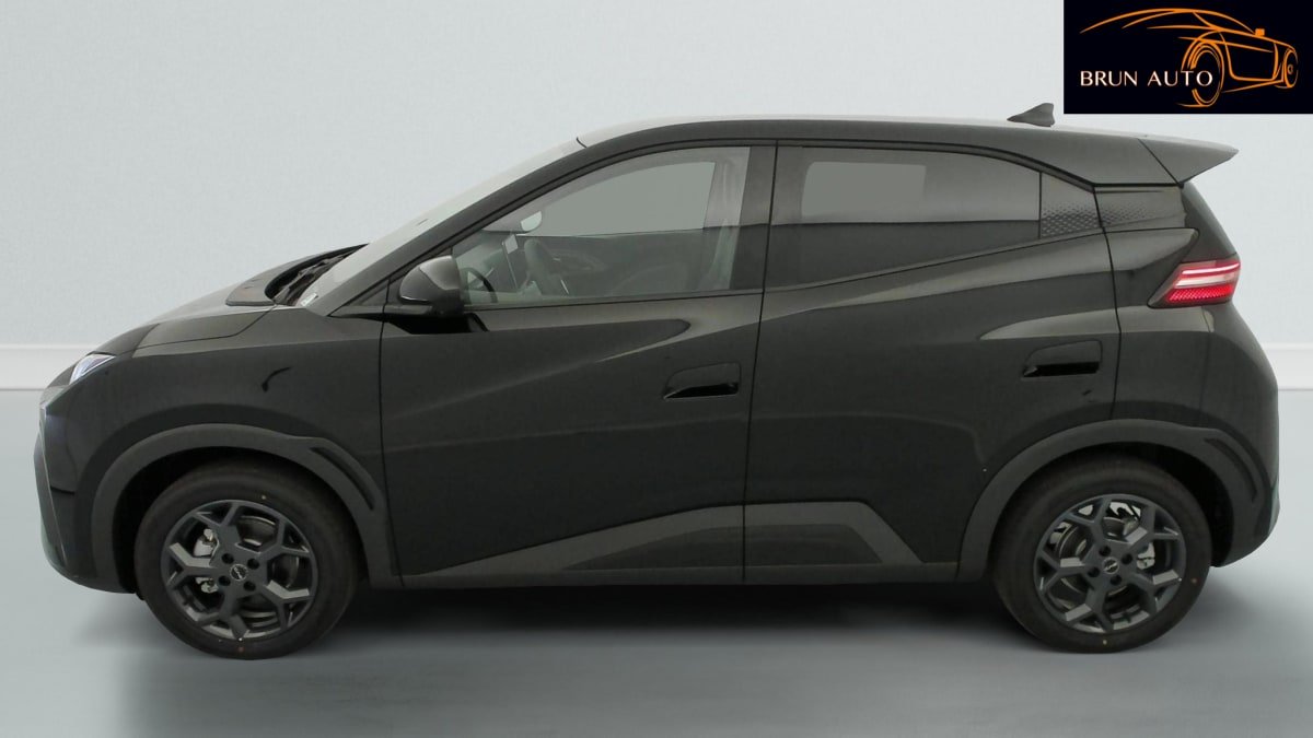BYD Dolphin - Photo 4