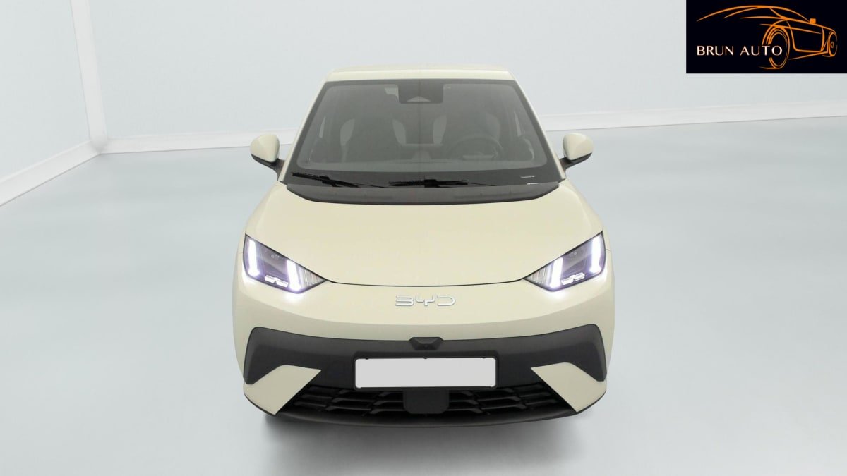 BYD Dolphin - Photo 46