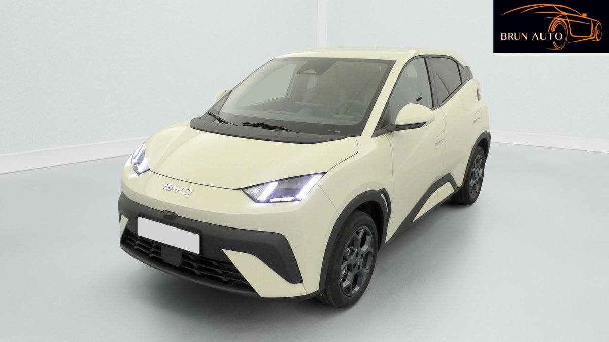 BYD Dolphin - Photo 47