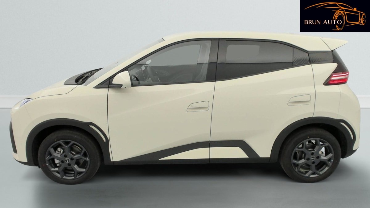 BYD Dolphin - Photo 48