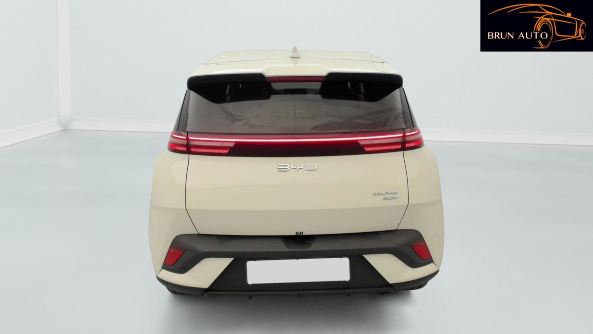 BYD Dolphin - Photo 50