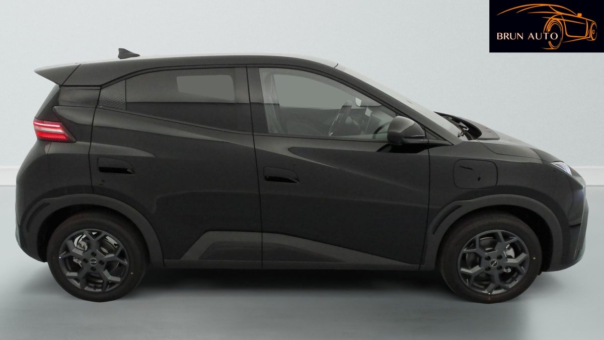BYD Dolphin - Photo 8