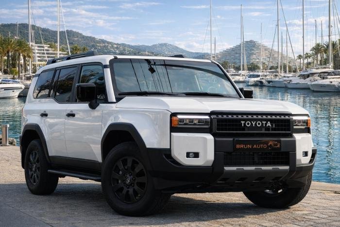 Toyota Land Cruiser - Photo 2