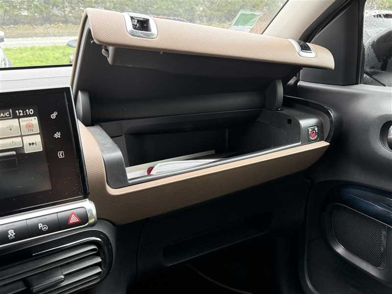Citroën C4 Cactus - Photo 10