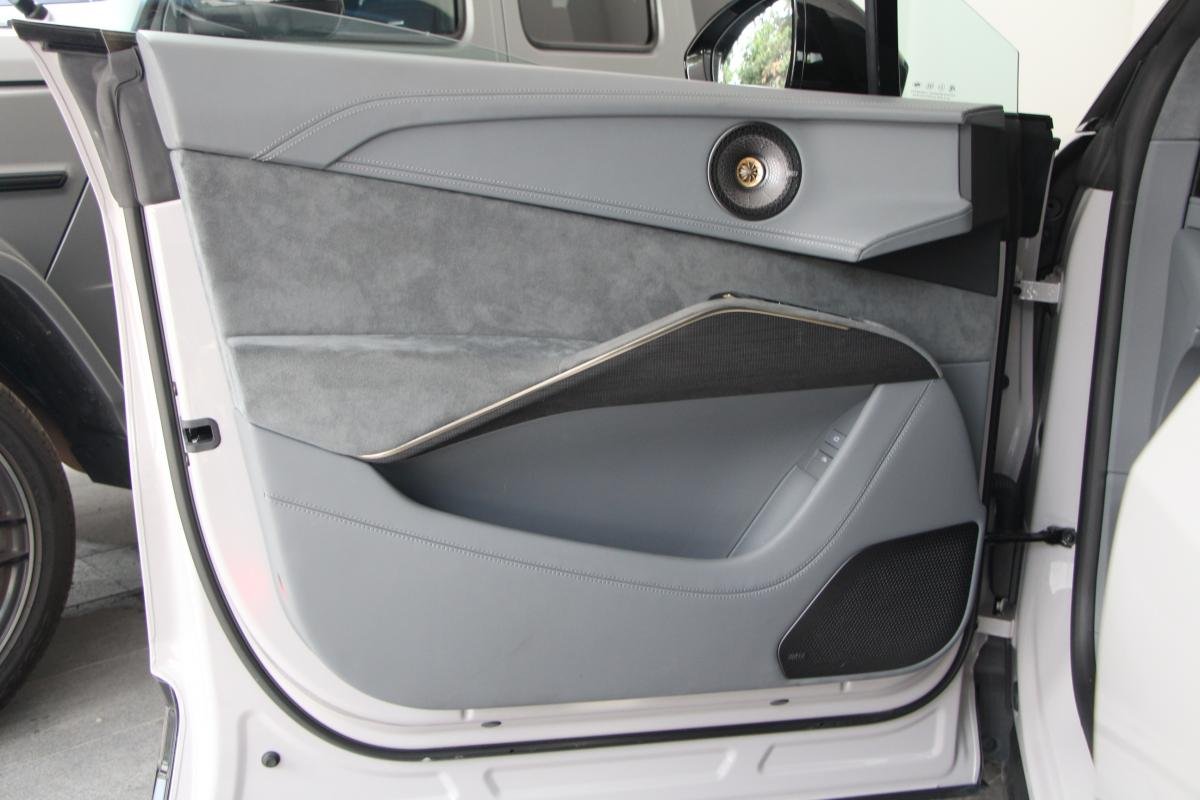 Lotus eletre - Photo 13