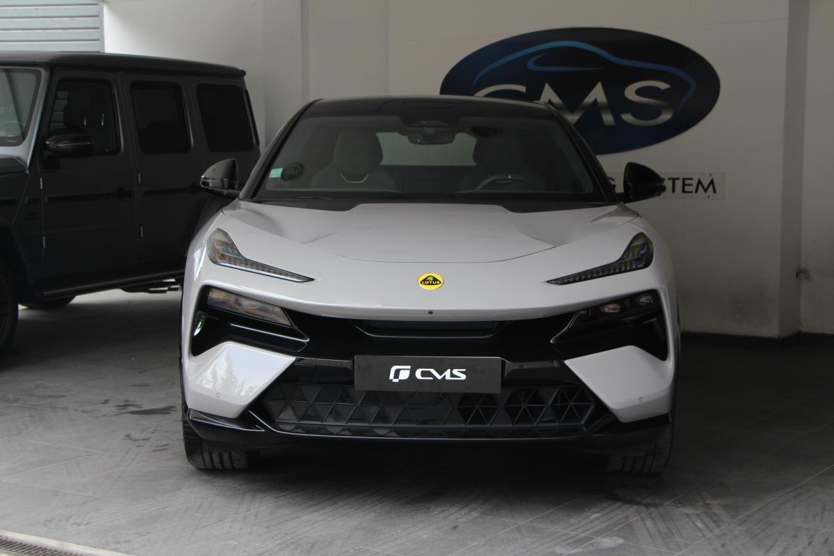 Lotus eletre - Photo 2
