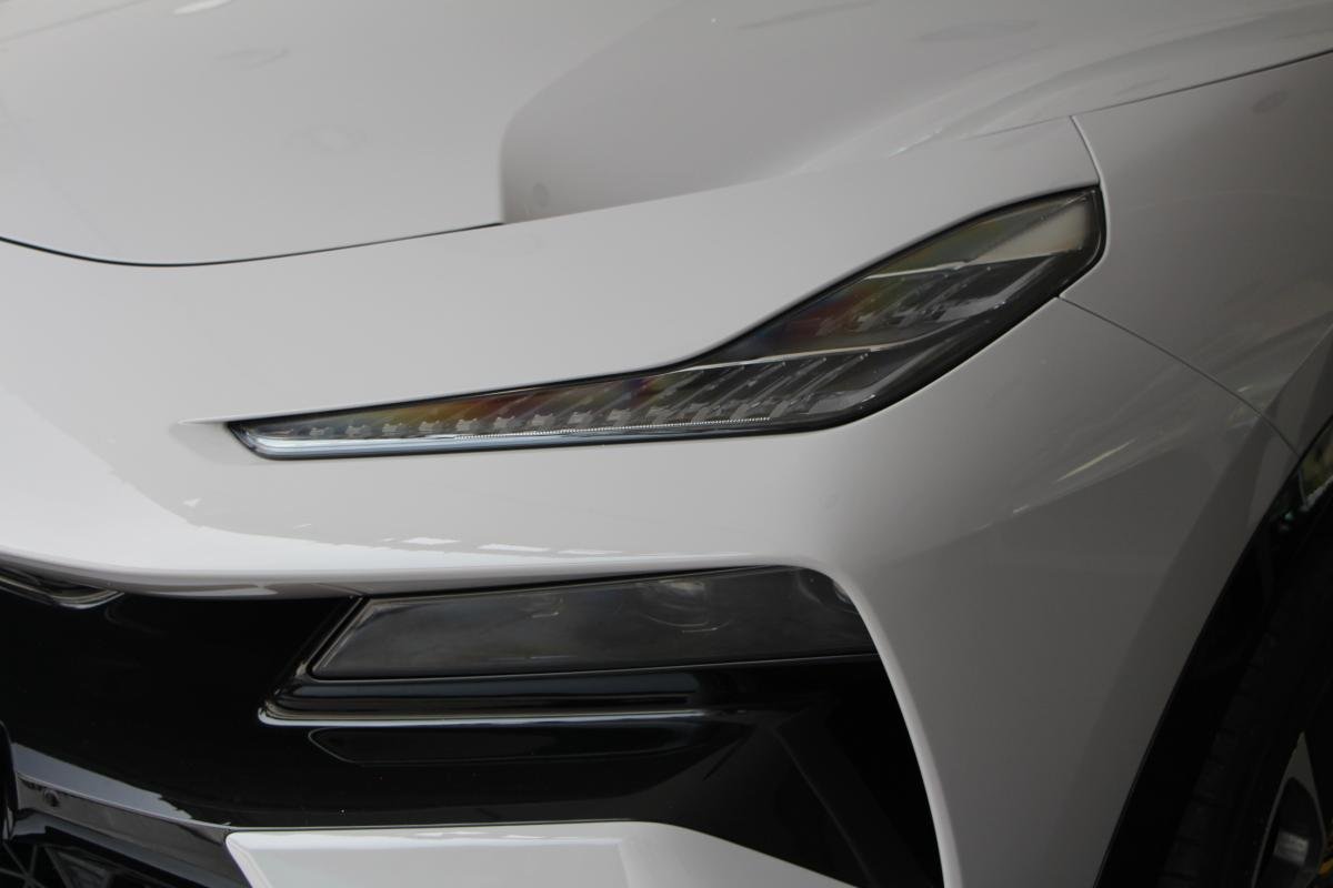 Lotus eletre - Photo 3