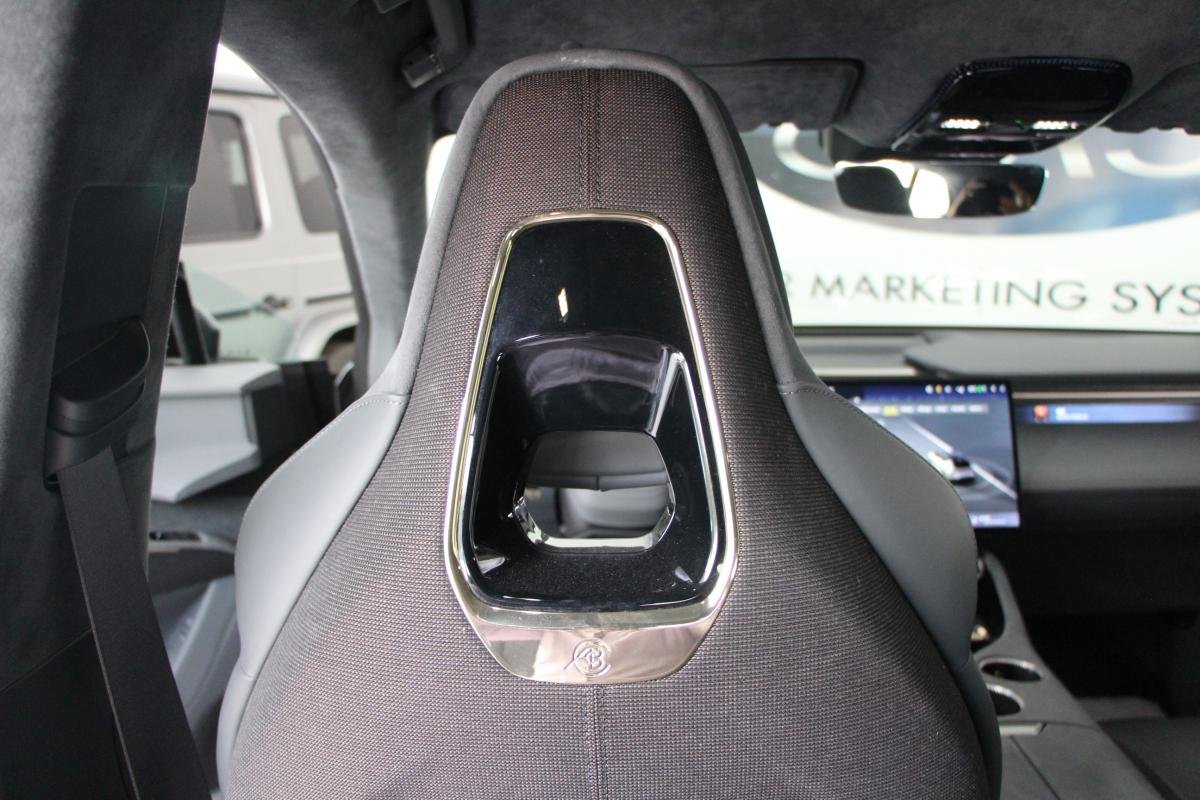 Lotus eletre - Photo 31