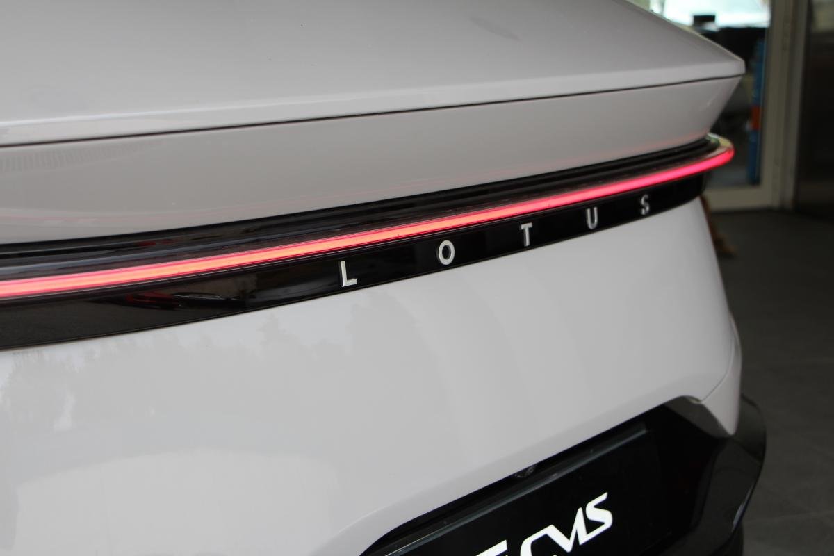Lotus eletre - Photo 33
