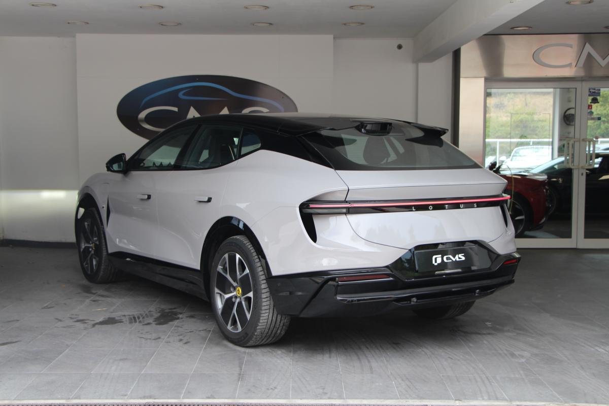 Lotus eletre - Photo 5
