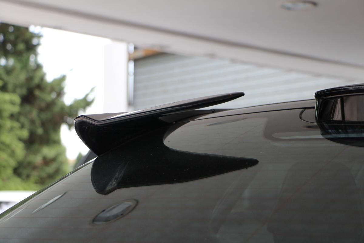 Lotus eletre - Photo 7