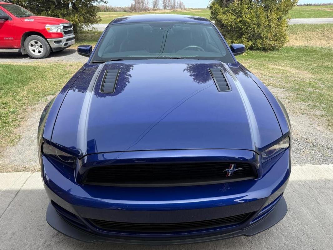 Ford Mustang - Photo 2