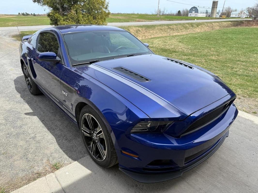 Ford Mustang - Photo 3