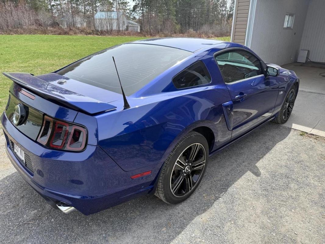 Ford Mustang - Photo 5