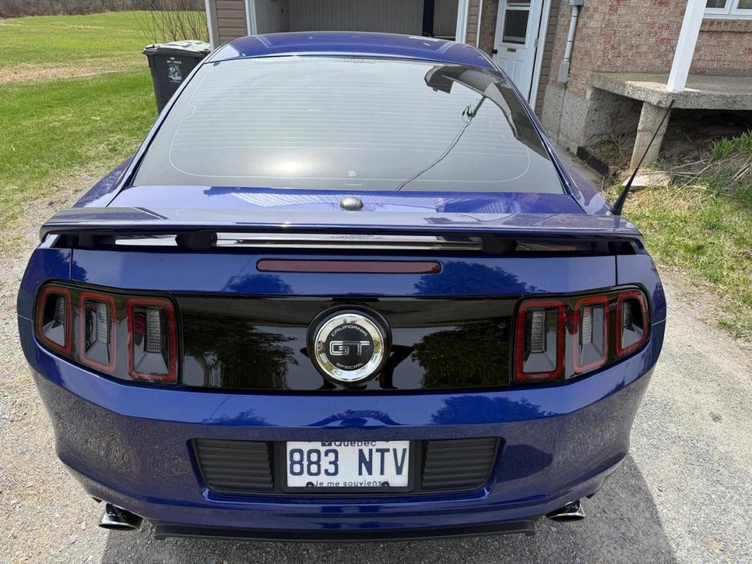 Ford Mustang - Photo 6