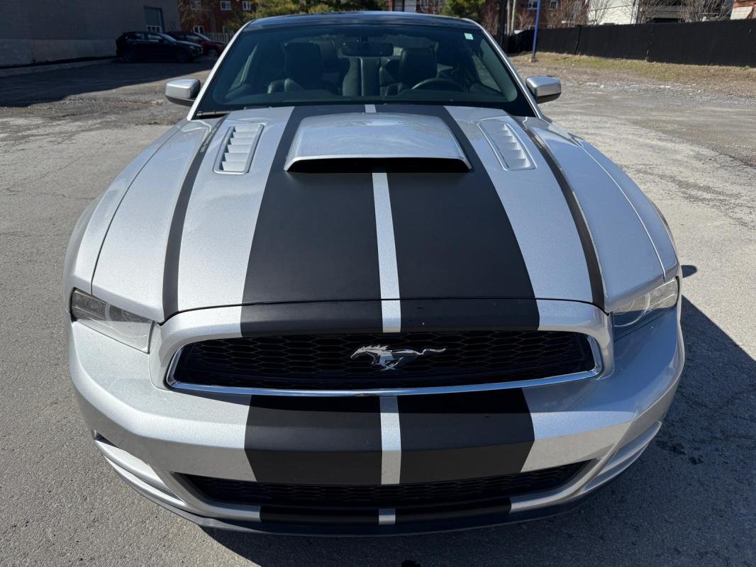 Ford Mustang - Photo 3