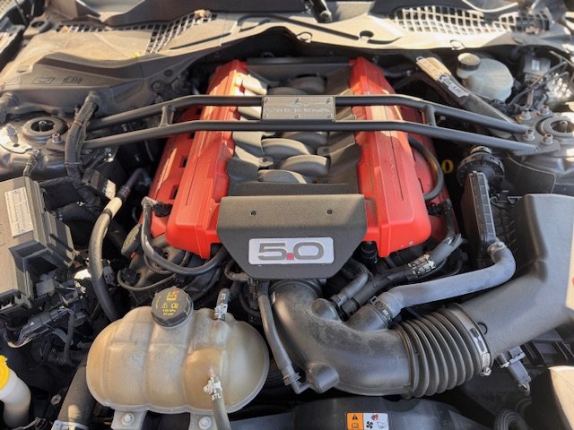 Ford Mustang - Photo 19