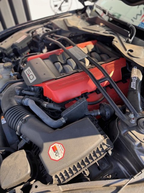 Ford Mustang - Photo 20
