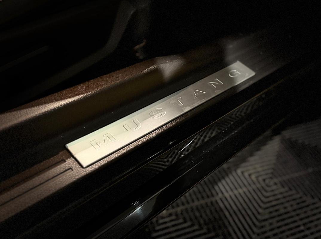 Ford Mustang - Photo 19