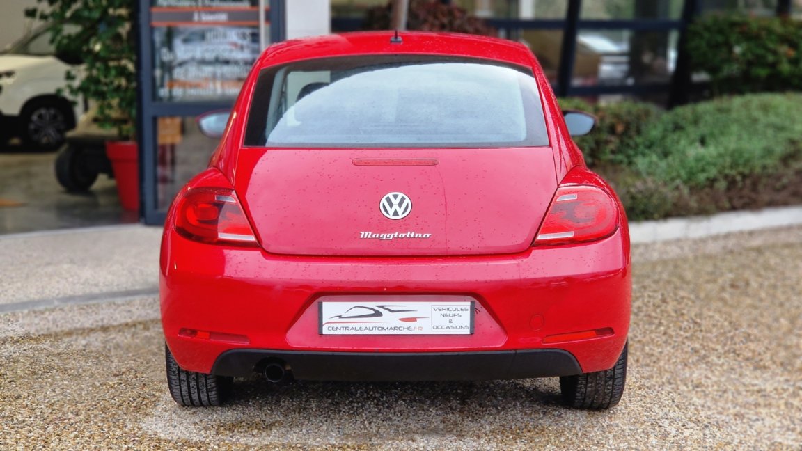 Volkswagen Beetle - Photo 14