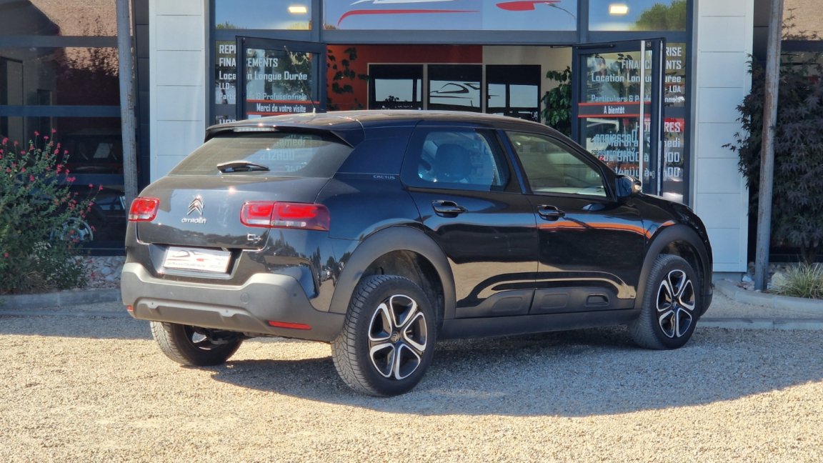 Citroën C4 Cactus - Photo 11