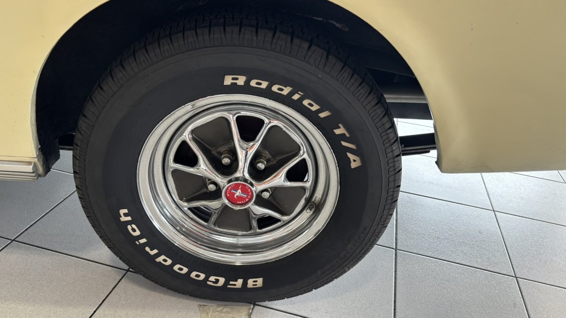 Ford Mustang - Photo 17