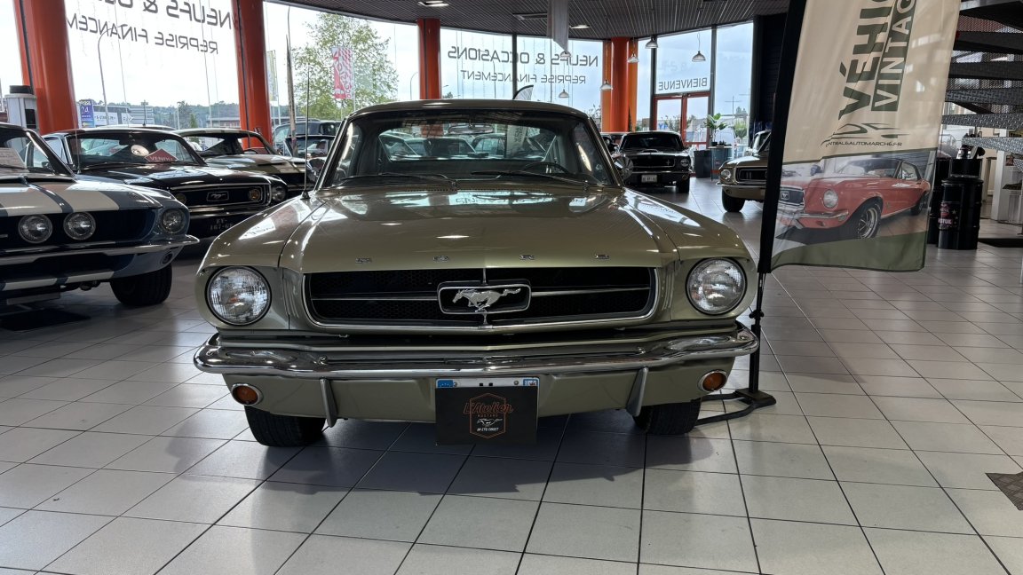 Ford Mustang - Photo 3