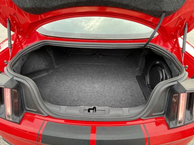 Ford Mustang - Photo 16