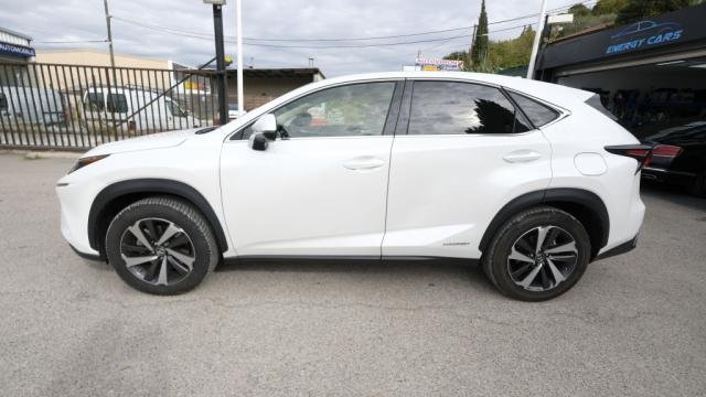 Lexus NX - Photo 6