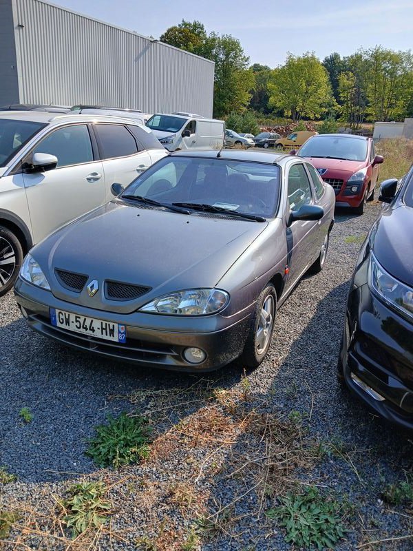 Renault Mégane - Photo 15