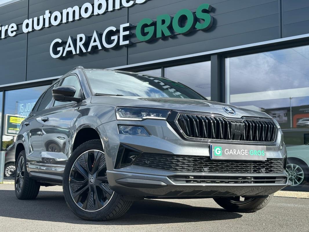 Skoda Karoq - Photo 29