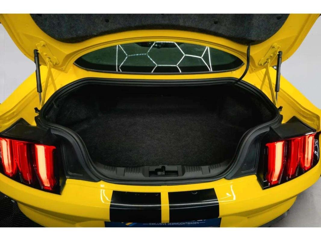 Ford Mustang - Photo 12