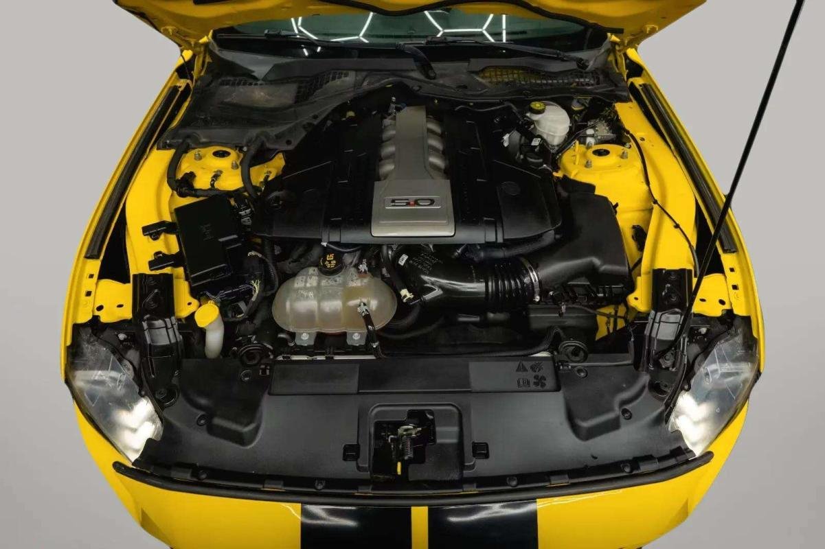 Ford Mustang - Photo 9