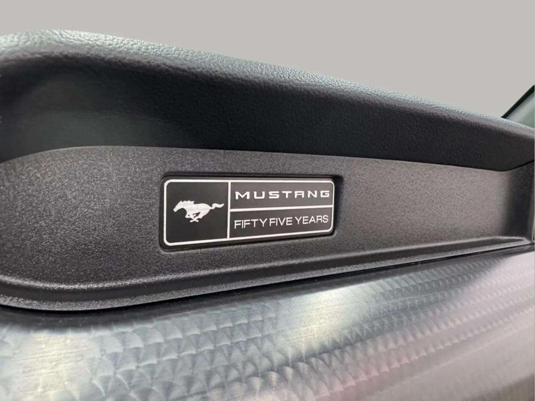 Ford Mustang - Photo 14