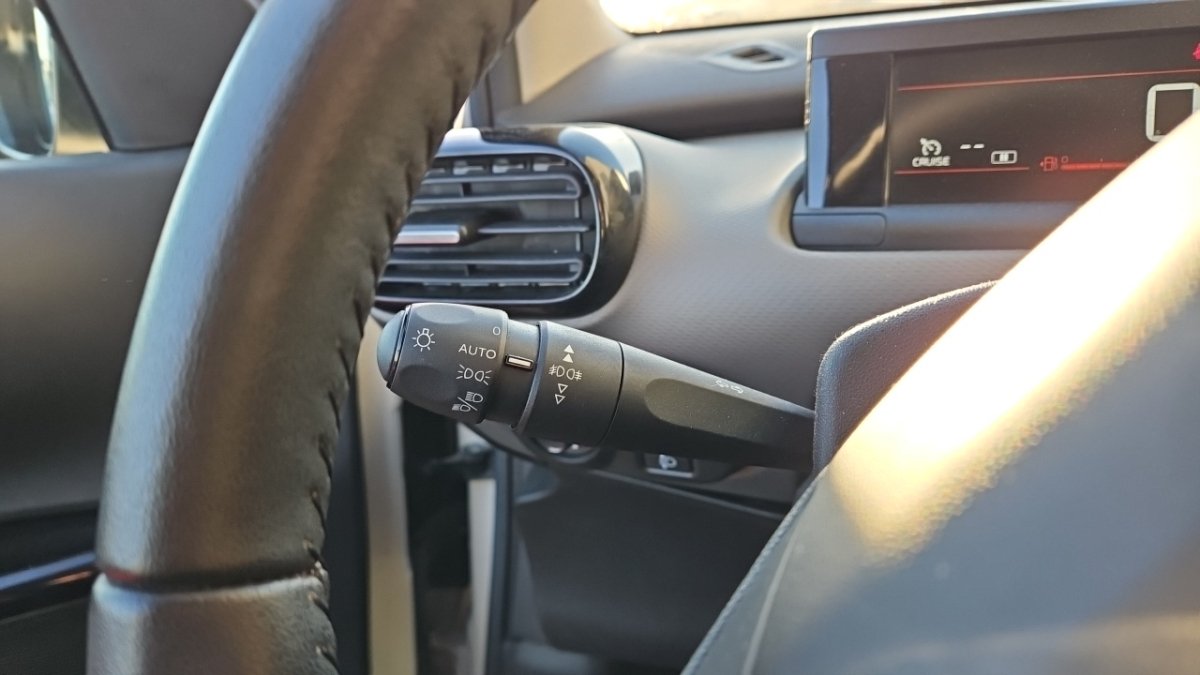 Citroën C4 Cactus - Photo 23