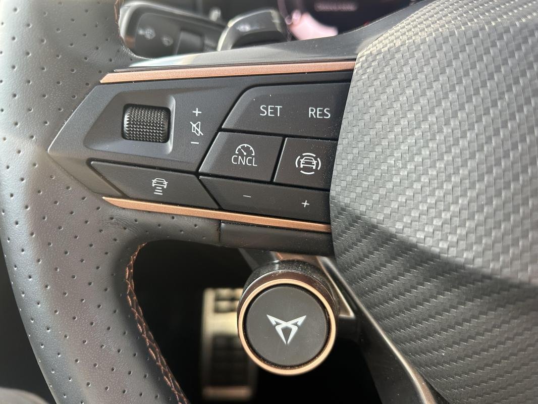 Cupra Terramar - Photo 20