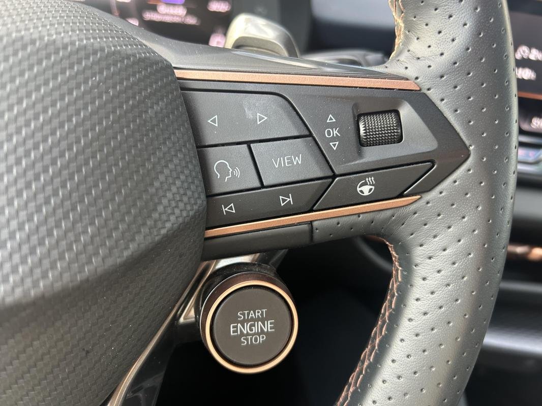 Cupra Terramar - Photo 21