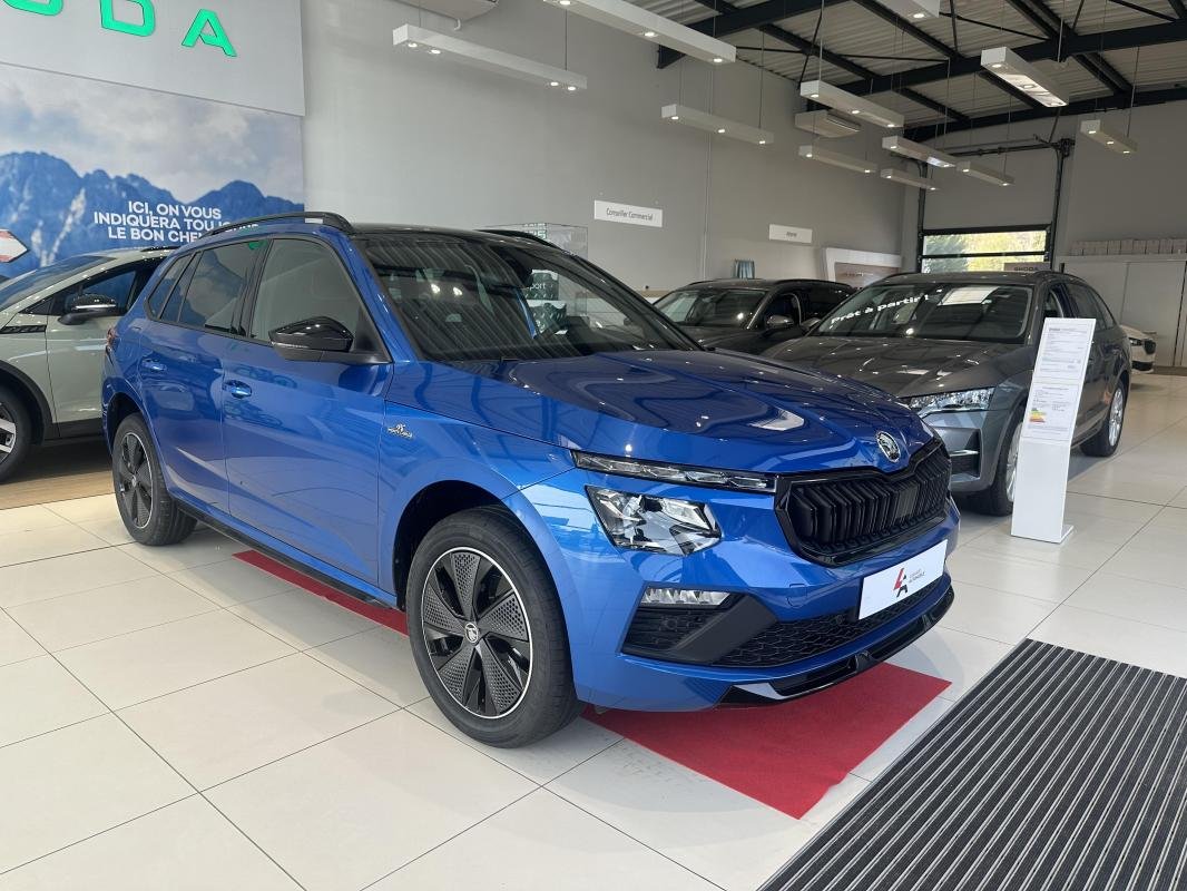 Skoda Kamiq - Photo 6