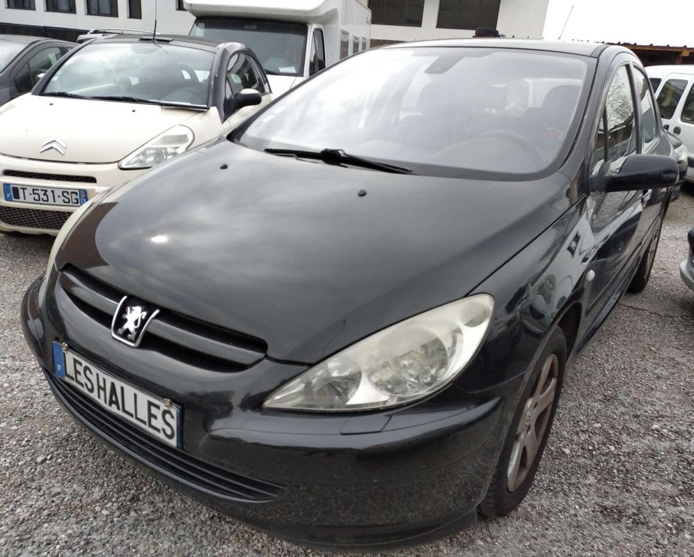 Peugeot 307 - Photo 1