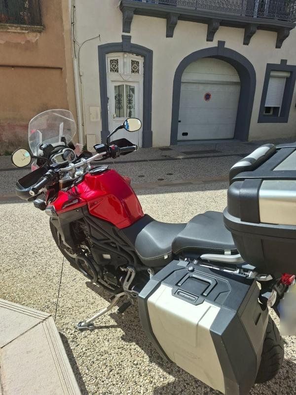 Triumph Tiger - Photo 5