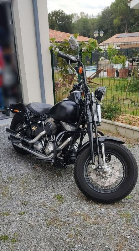 Harley Davidson Harley Davidson SOFTAIL CROSS BONES - Photo 1