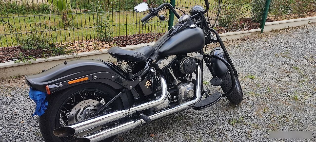 Harley Davidson Harley Davidson SOFTAIL CROSS BONES - Photo 2