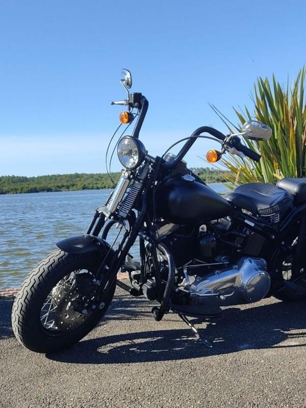 Harley Davidson Harley Davidson SOFTAIL CROSS BONES - Photo 4